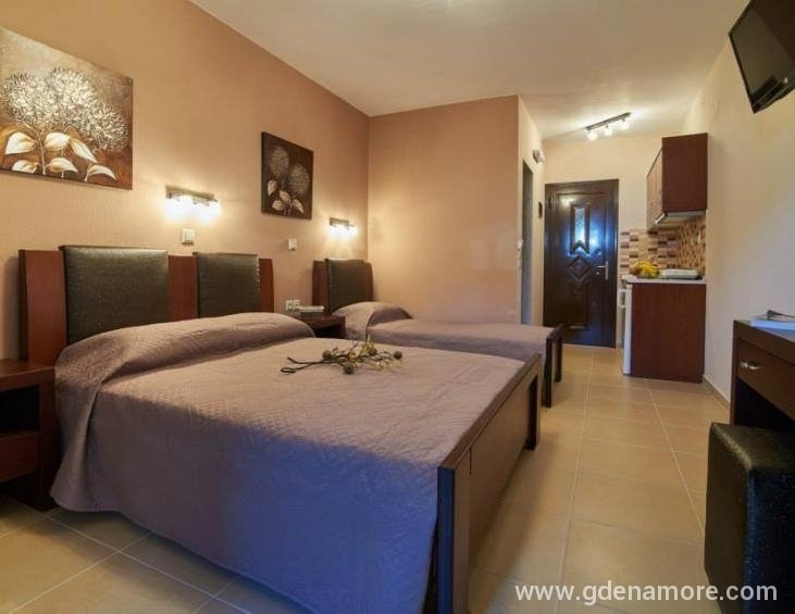 fotini-house-sarti-sithonia-halkidiki-3-bed-studio