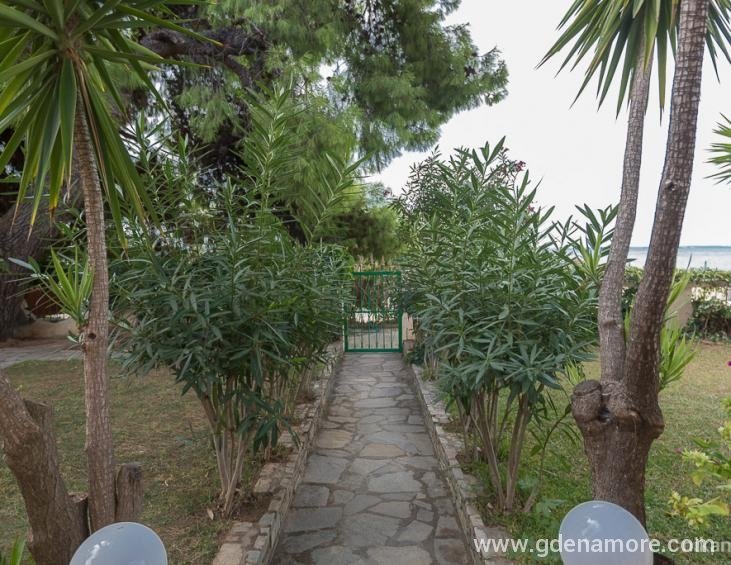 minas-house-nikiti-sithonia-5