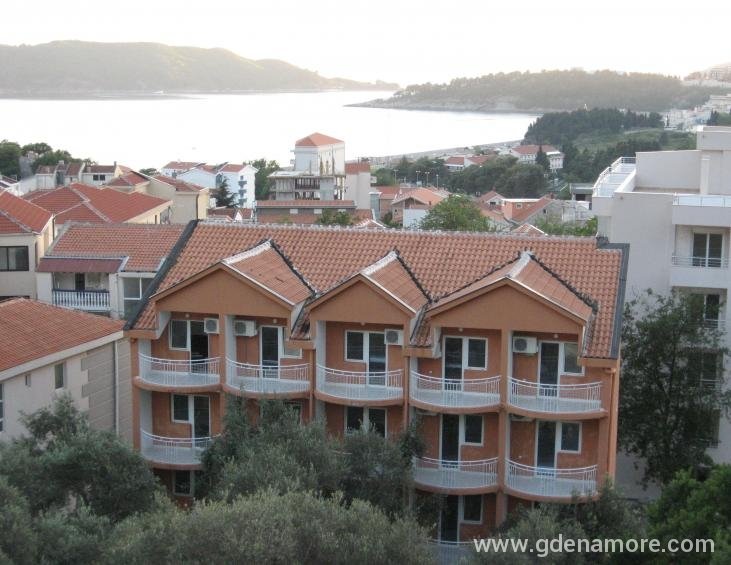 Poledjina vile, pogled