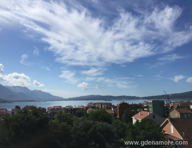 Pogled
