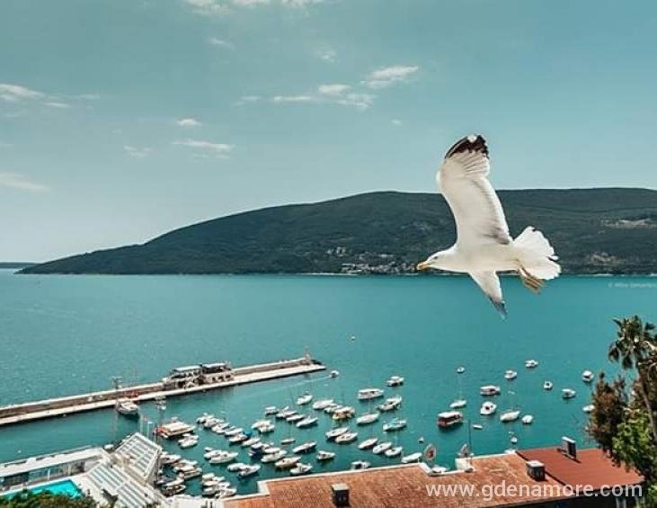 Apartman Sladja, Herceg Novi
