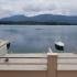 Izdajem 2 apartmana u Radovicima,na obali mora, private accommodation in city Radovići, Montenegro - IMG-bf94e28534178203e3e2a5544c39c734-V
