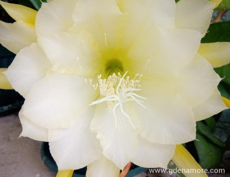MVIMG_20190618_130134