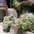 Apartment Olivera, private accommodation in city Bijela, Montenegro - aaaab