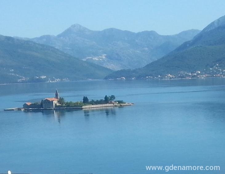 pogled