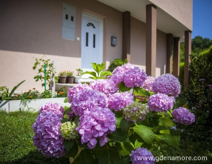 viber_image_2019-06-27_14-02-31