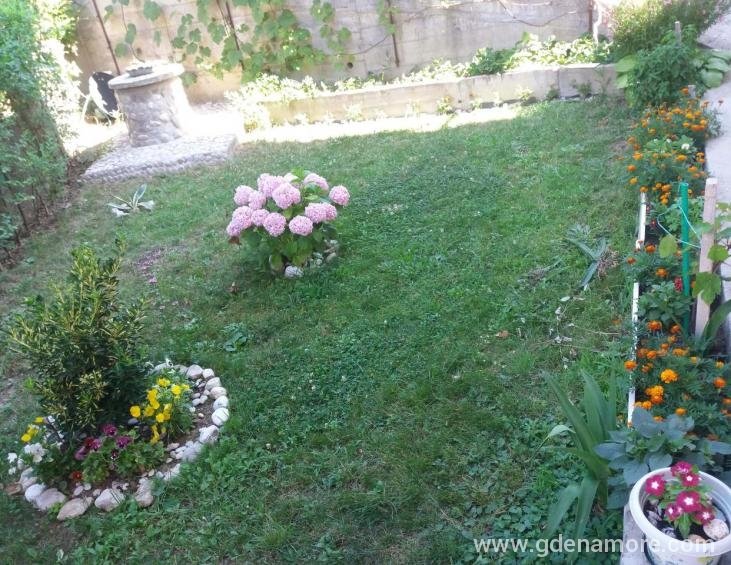 viber_image_2019-06-27_14-03-22