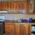 Villa Desa, Privatunterkunft im Ort Bečići, Montenegro - DSCN5175-001