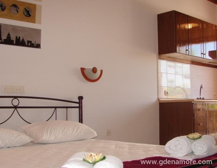alexandra-hotel-nea-rodha-athos-29