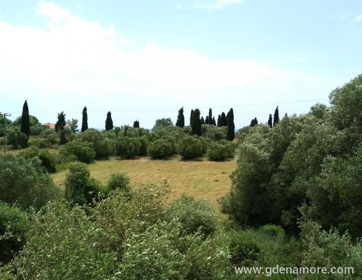 casa-de-rosa-apartments-argostoli-kefalonia-6