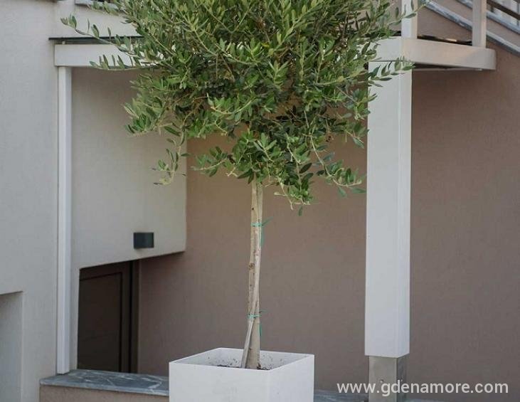 corali-luxury-villas-ierissos-athos-12