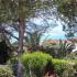 Despina Studios, privatni smeštaj u mestu Lassii, Grčka - despina-studios-lassi-kefalonia-2