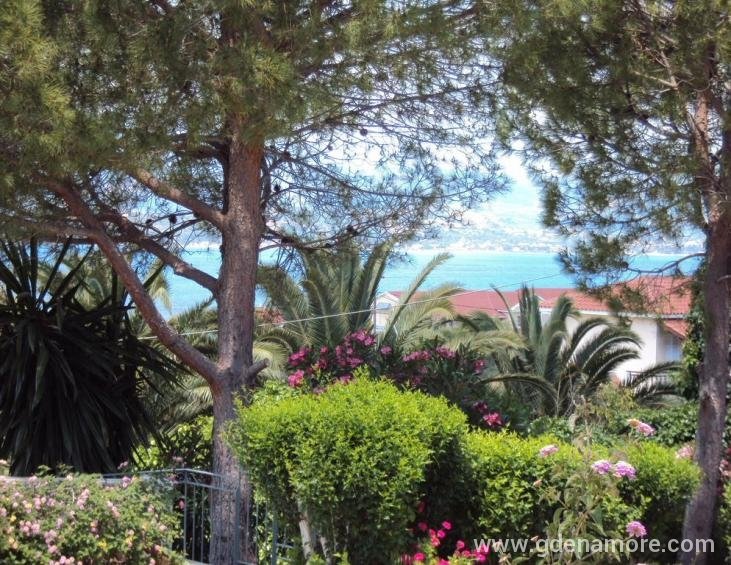 despina-studios-lassi-kefalonia-2