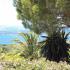 Despina Studios, privatni smeštaj u mestu Lassii, Grčka - despina-studios-lassi-kefalonia-3