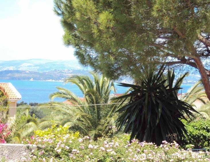 despina-studios-lassi-kefalonia-3