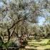  Dionysus Apartments, privatni smeštaj u mestu Ierissos, Grčka - dionysus-apartments-ierissos-athos-12