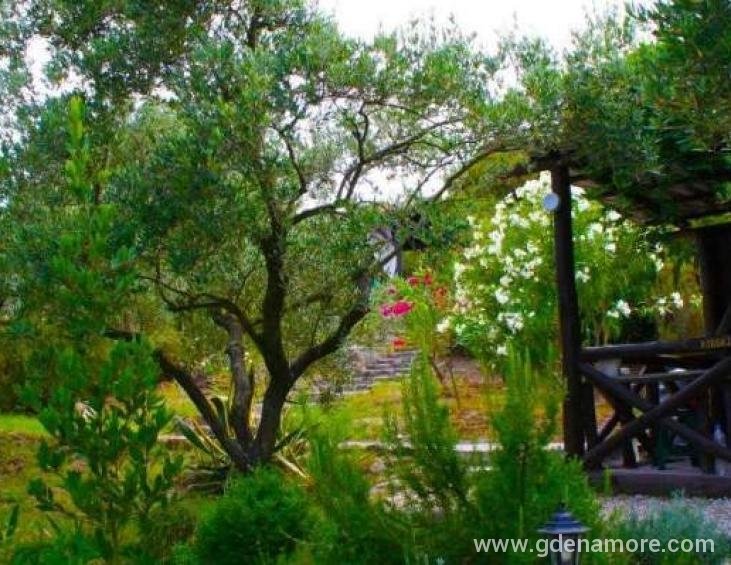 dionysus-apartments-ierissos-athos-14
