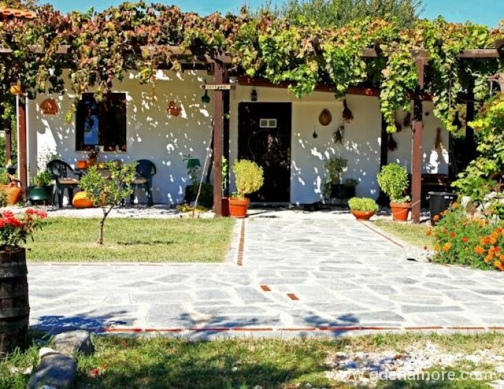 dionysus-apartments-ierissos-athos-21