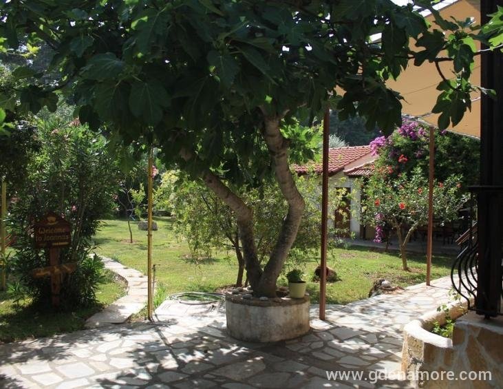 joannas-studios-lassi-kefalonia-10
