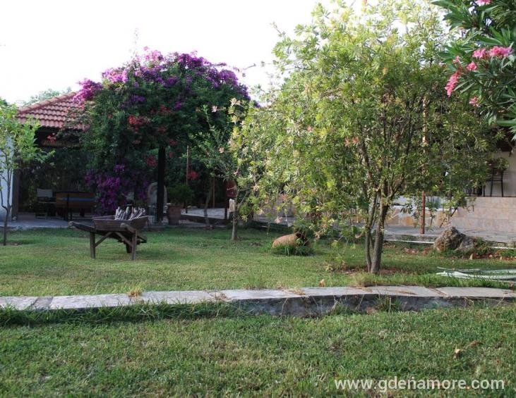 joannas-studios-lassi-kefalonia-4