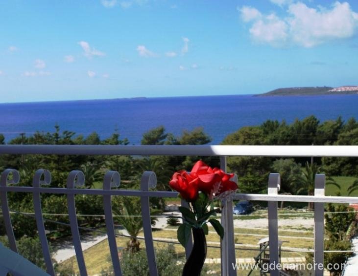 oskars-studios-lassi-kefalonia-19