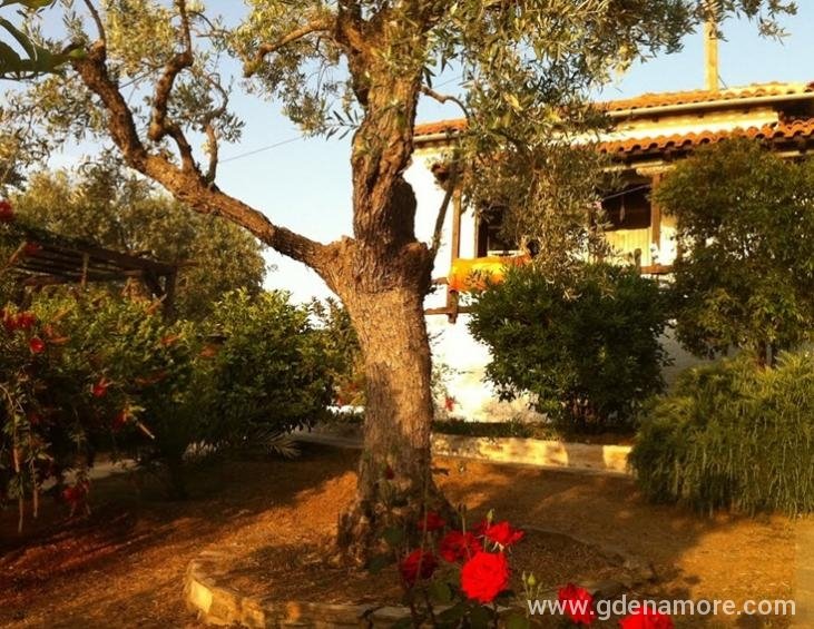 saint-andrews-villas-milina-pelion-10