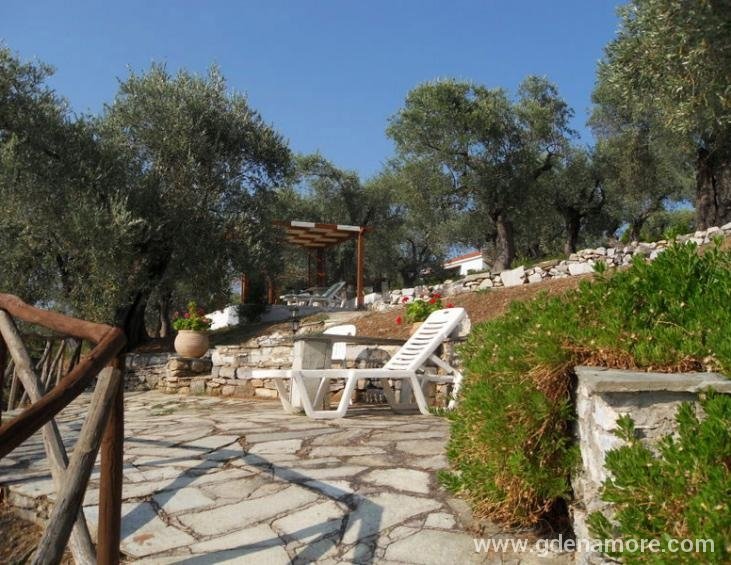 saint-andrews-villas-milina-pelion-15