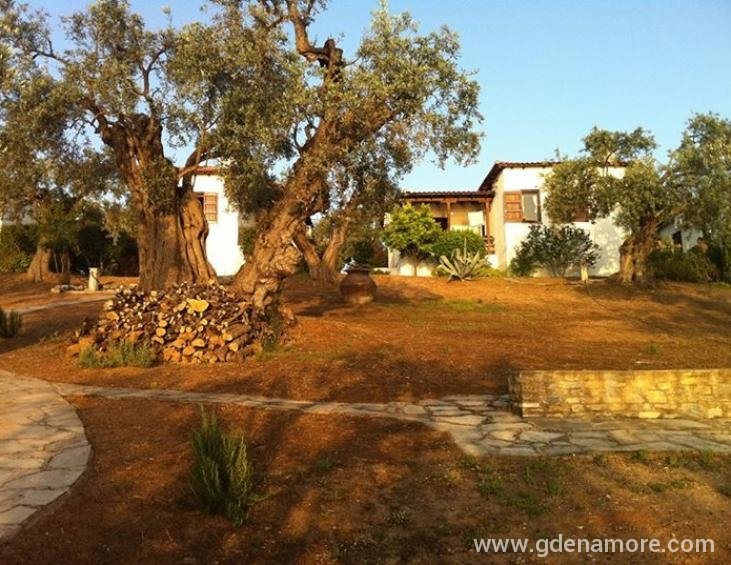 saint-andrews-villas-milina-pelion-3