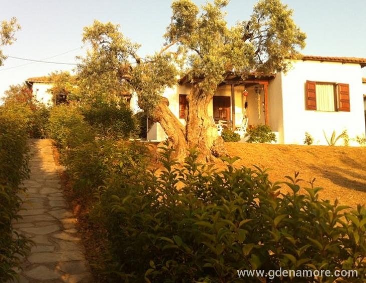 saint-andrews-villas-milina-pelion-6