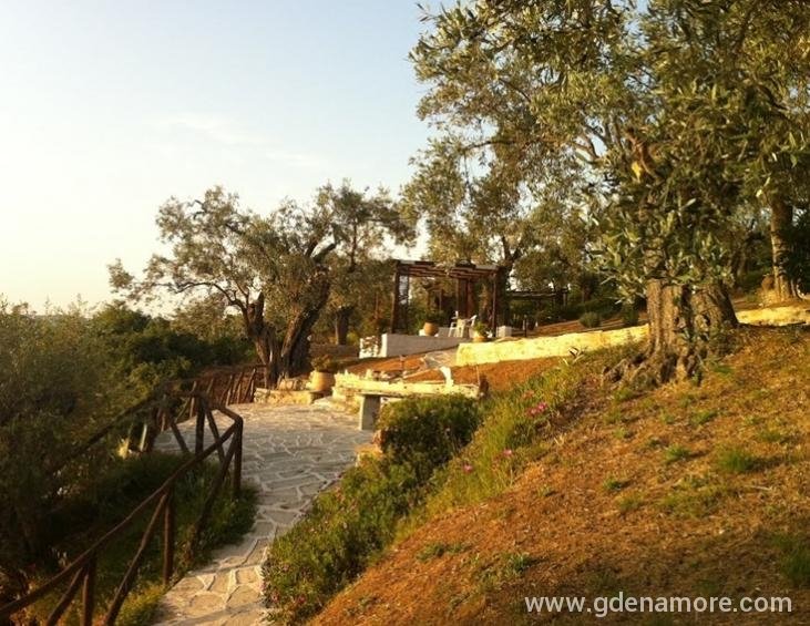 saint-andrews-villas-milina-pelion-8