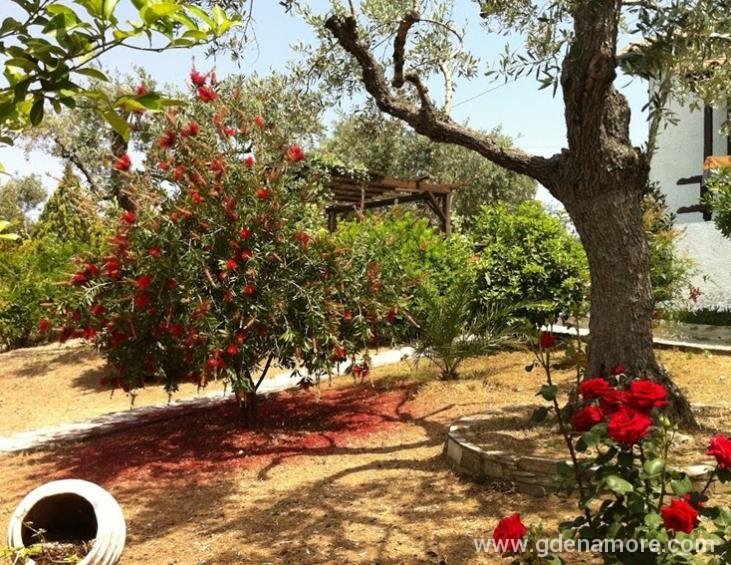 saint-andrews-villas-milina-pelion-9