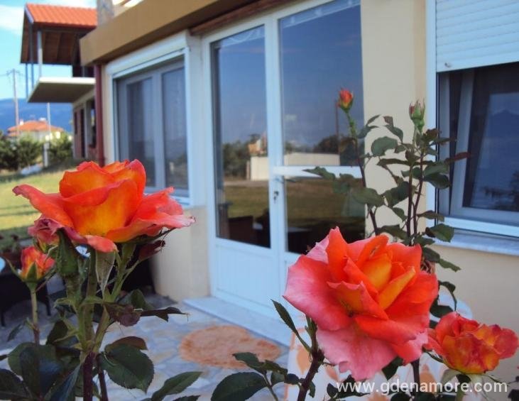 zoinas-house-leptokarya-pieria-6