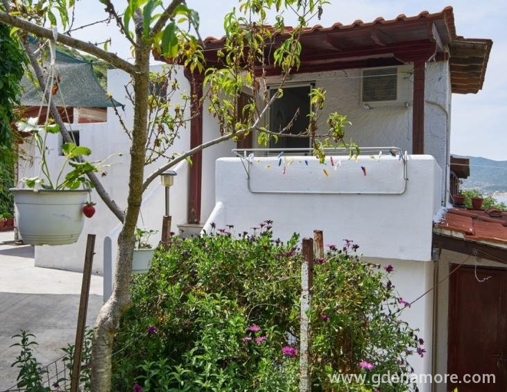 aggelina-house-sykia-sithonia-5