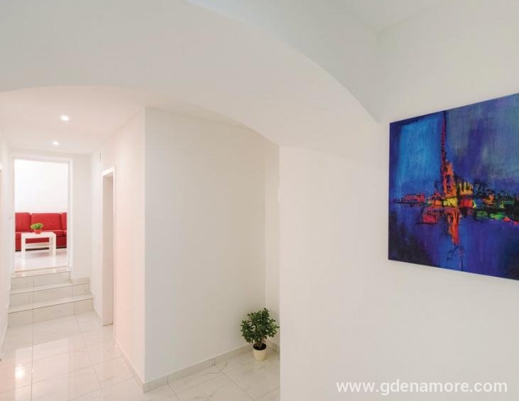 ckc258_indoor_02