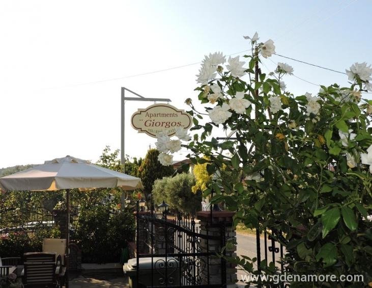 giorgos-hotel-ammouliani-athos-2