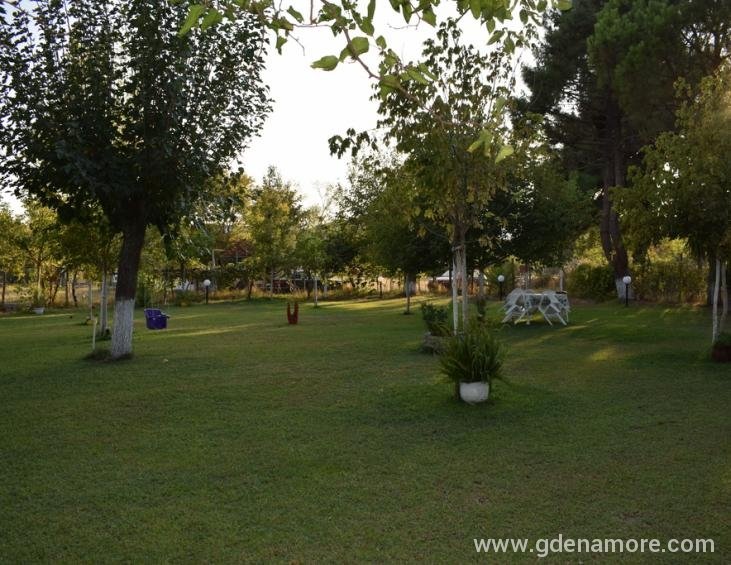 magda-rooms-sykia-sithonia-9