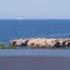 Queen Apartments &amp; Rooms, private accommodation in city Dobre Vode, Montenegro - 164743279