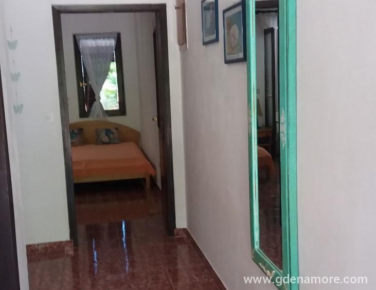 Apartman 1