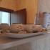 Apartman sobe GAMA, privatni smeštaj u mestu Igalo, Crna Gora - 20210609_115350
