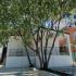 Belo&scaron;evac apartments, private accommodation in city Dobre Vode, Montenegro - 2