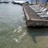Olea, private accommodation in city Tivat, Montenegro - Olea