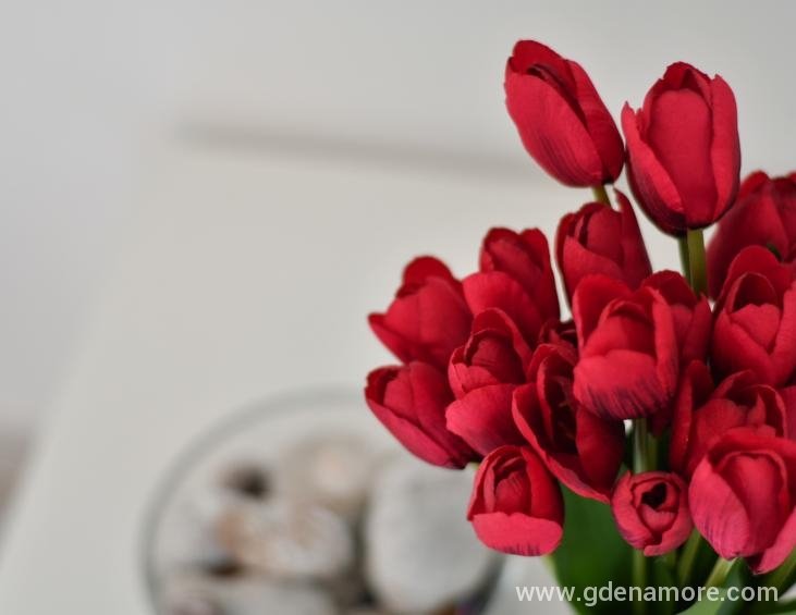 ZVE_3237