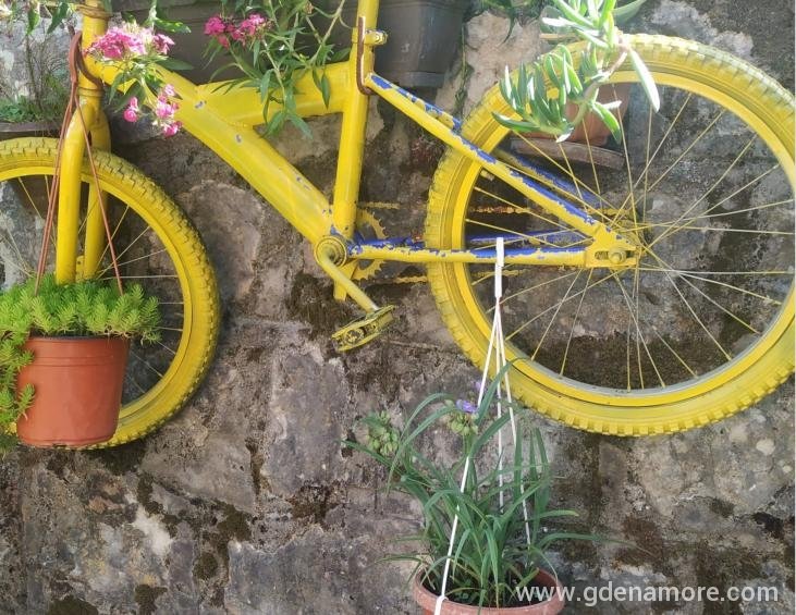 Apartman Sladja, Herceg Novi