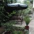 Azur, privatni smeštaj u mestu Budva, Crna Gora - Garden