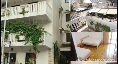 APARTMANI VILA SASA 8-20eur, privatni smeštaj u mestu Budva, Crna Gora