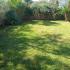 Palm garden apartment, privatni smeštaj u mestu Nikiti, Grčka - 20210830_112412