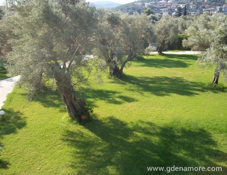 elaia-studios-agios-ioannis-lefkada-17