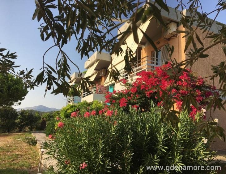 galini-studios-lassi-kefalonia-7