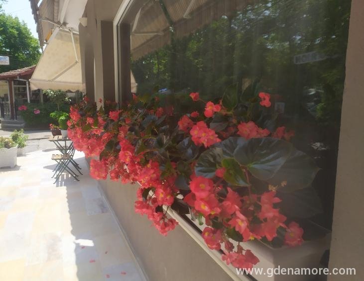 Villa Dimitris entrance