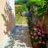 Appartements Rasovic Kumbor, logement privé à Kumbor, Mont&eacute;n&eacute;gro - IMG_20210620_093707
